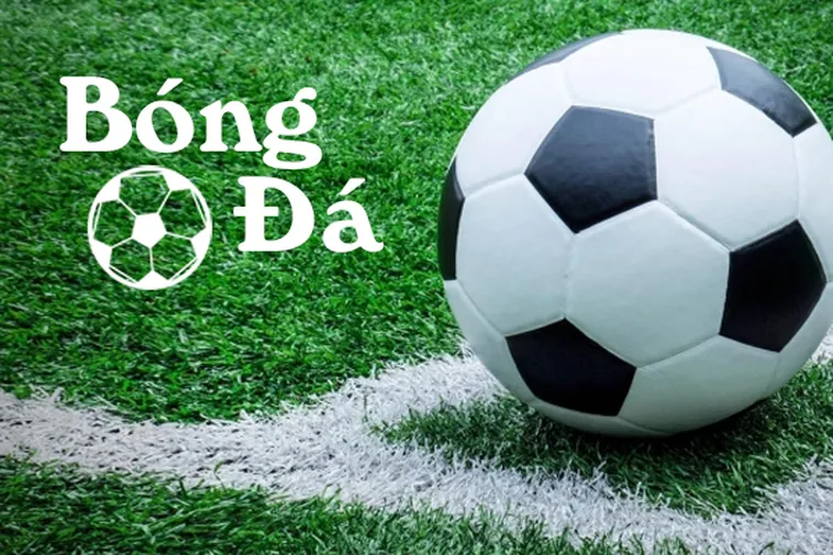 Phân Biệt Bóng Trong Cuộc Và Bóng Ngoài Cuộc Trong Luật Bóng Đá