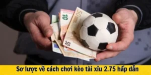 Hướng Dẫn Chi Tiết Cách Chơi Kèo 2.75 Tại NowGoal Hiệu Quả