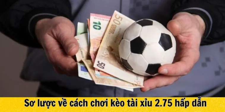 Hướng Dẫn Chi Tiết Cách Chơi Kèo 2.75 Tại NowGoal Hiệu Quả