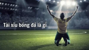 Cách Chơi Kèo Tài Xỉu Bóng Đá Tại NowGoal Chuẩn Xác Và Hiệu Quả Nhất