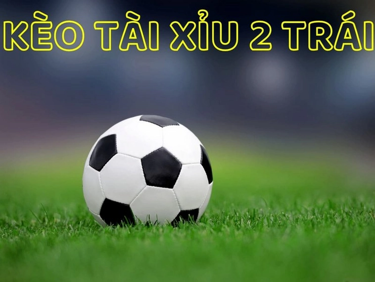 Cách Chơi Kèo Tài Xỉu Bóng Đá Tại NowGoal Chuẩn Xác Và Hiệu Quả Nhất