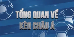 Hướng Dẫn Chi Tiết Cách Chơi Kèo Châu Á Tại NowGoal Cho Người Mới