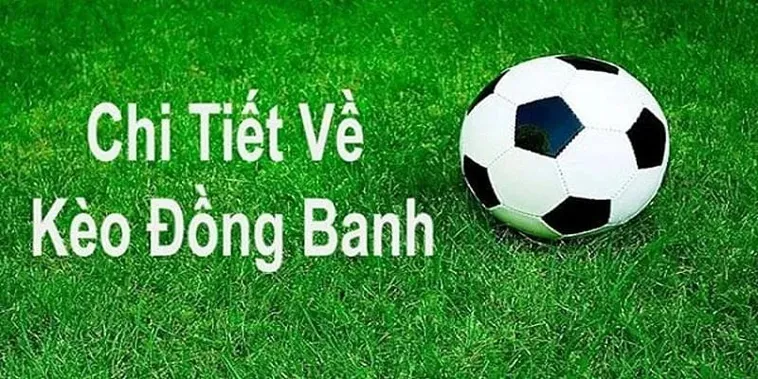 Cách Chơi Kèo Đồng Banh Tại NowGoal Chuẩn Xác Và Hiệu Quả Nhất