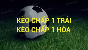 Hướng Dẫn Cách Chơi Kèo Chấp 1 Tại NowGoal Hiểu Nhanh Thắng Lớn