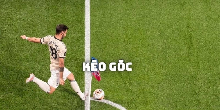Cách Chơi Kèo Phạt Góc Bóng Đá Tại NowGoal Chi Tiết Dễ Hiểu