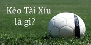 Cách Chơi Kèo Tài Xỉu Tại NowGoal Hiệu Quả Và Chính Xác Nhất Hiện Nay