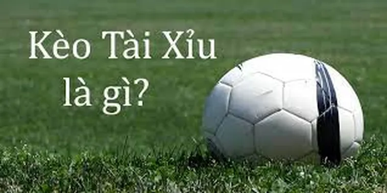 Cách Chơi Kèo Tài Xỉu Tại NowGoal Hiệu Quả Và Chính Xác Nhất Hiện Nay