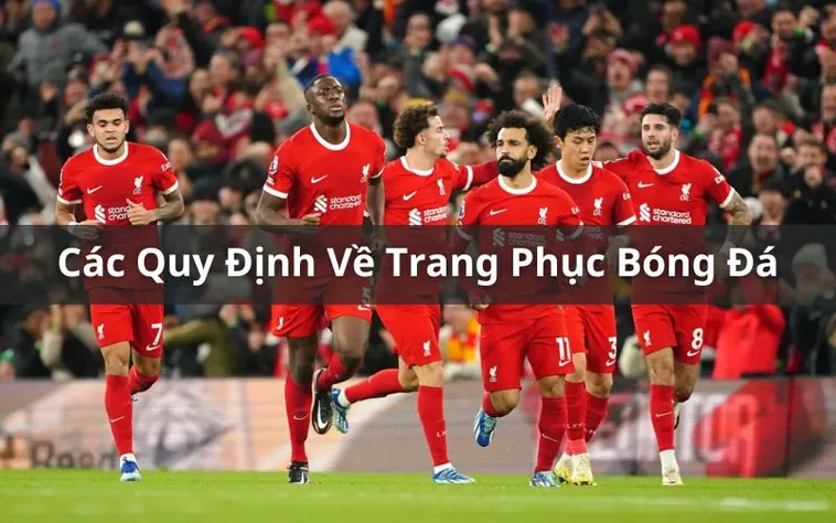 Quy Định Về Trang Phục Bóng Đá Chính Thức Trong Thi Đấu Theo Chuẩn FIFA